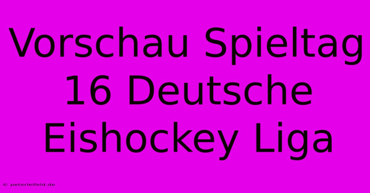 Vorschau Spieltag 16 Deutsche Eishockey Liga