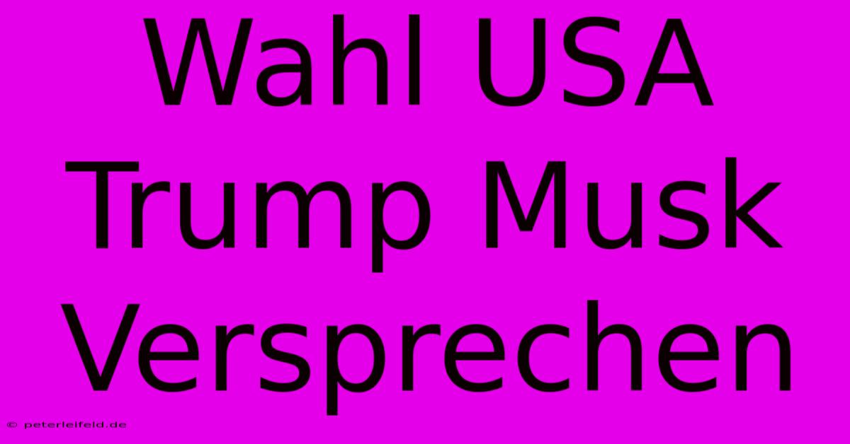 Wahl USA Trump Musk Versprechen