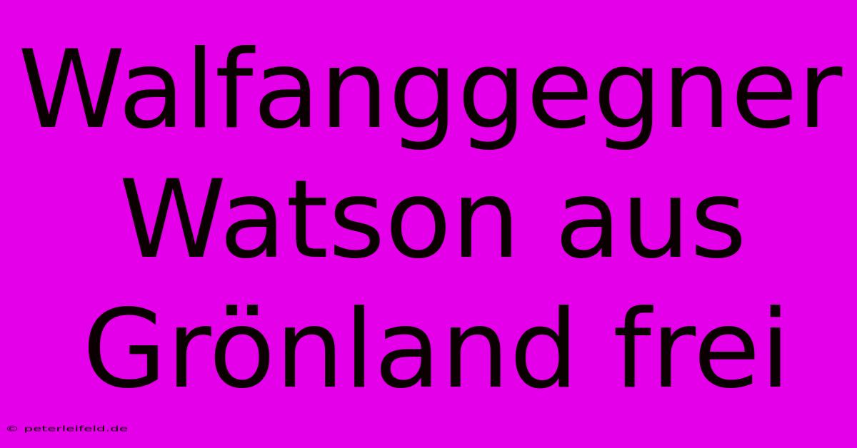 Walfanggegner Watson Aus Grönland Frei