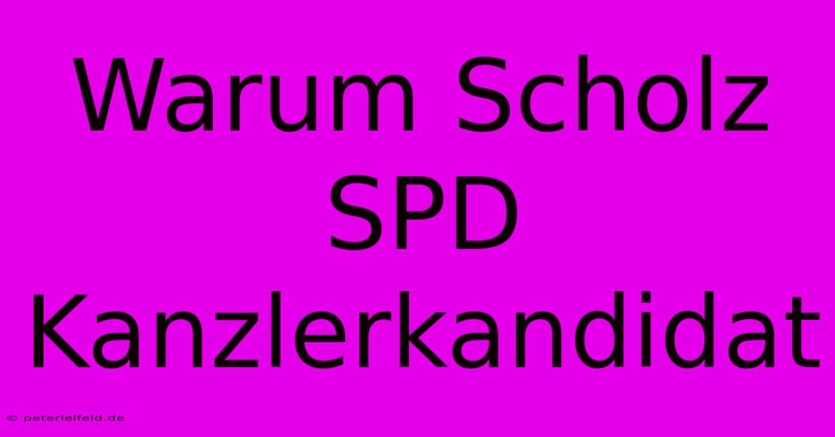 Warum Scholz SPD Kanzlerkandidat