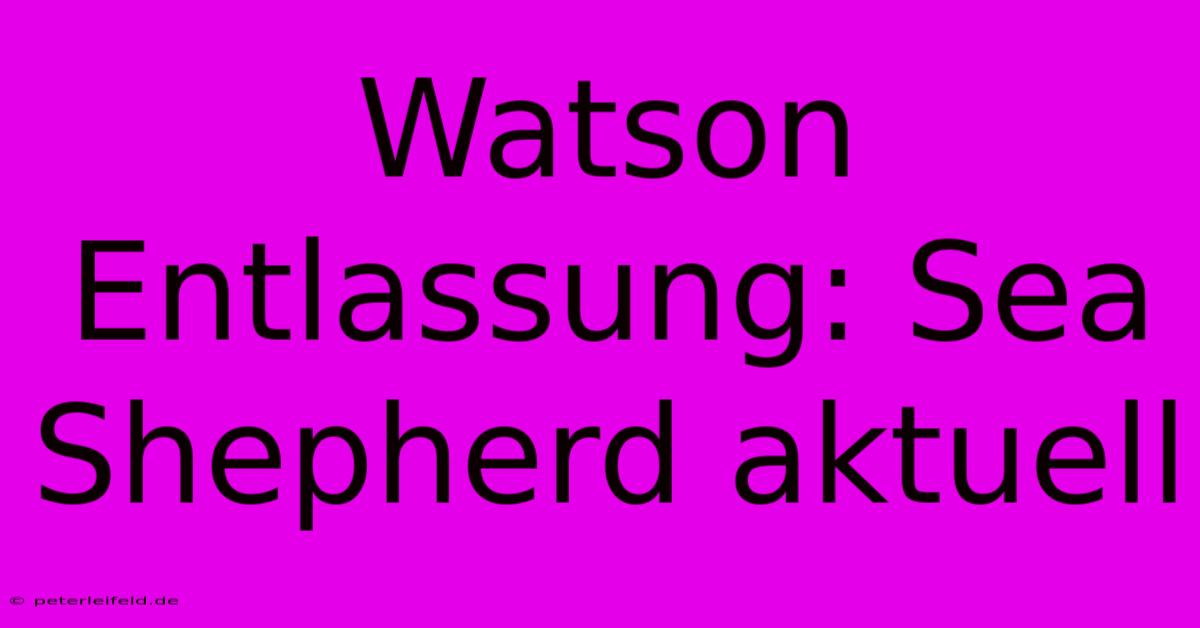 Watson Entlassung: Sea Shepherd Aktuell