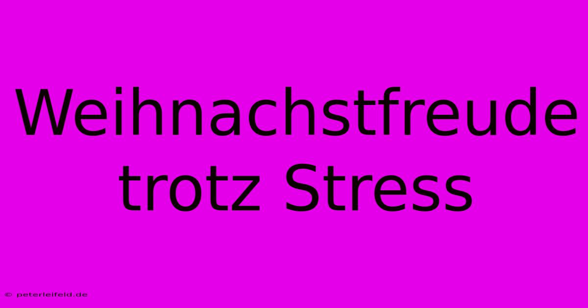 Weihnachstfreude Trotz Stress