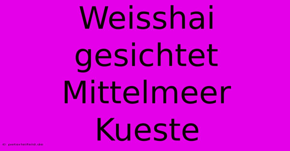 Weisshai Gesichtet Mittelmeer Kueste