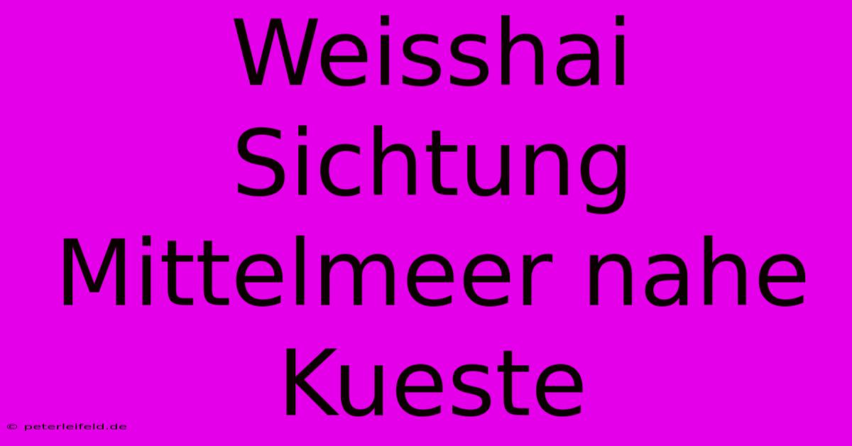 Weisshai Sichtung Mittelmeer Nahe Kueste