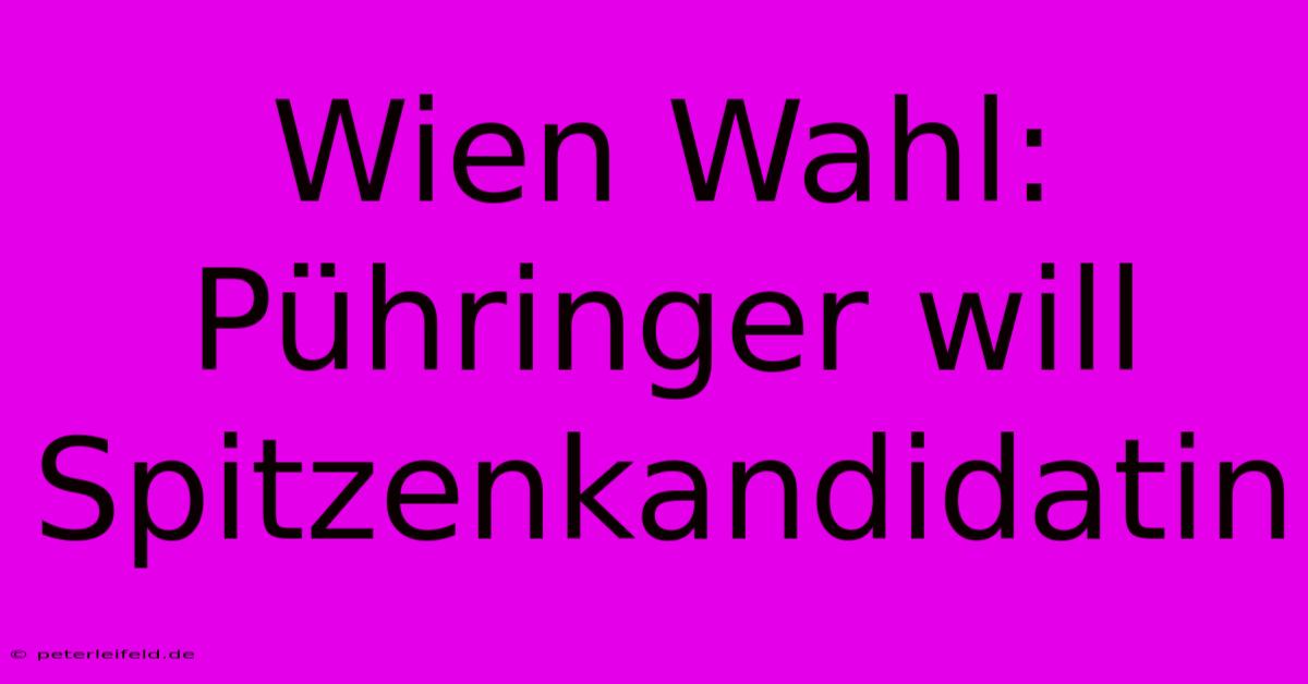 Wien Wahl: Pühringer Will Spitzenkandidatin