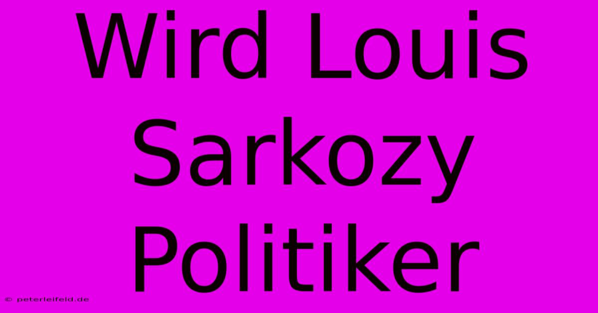 Wird Louis Sarkozy Politiker