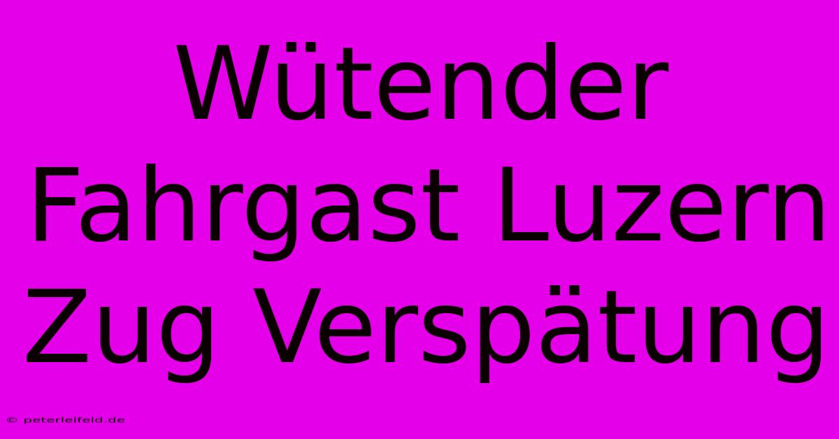 Wütender Fahrgast Luzern Zug Verspätung