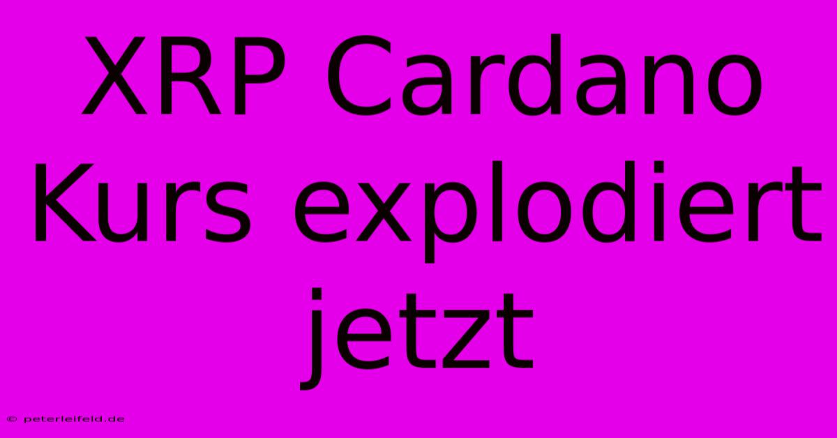 XRP Cardano Kurs Explodiert Jetzt