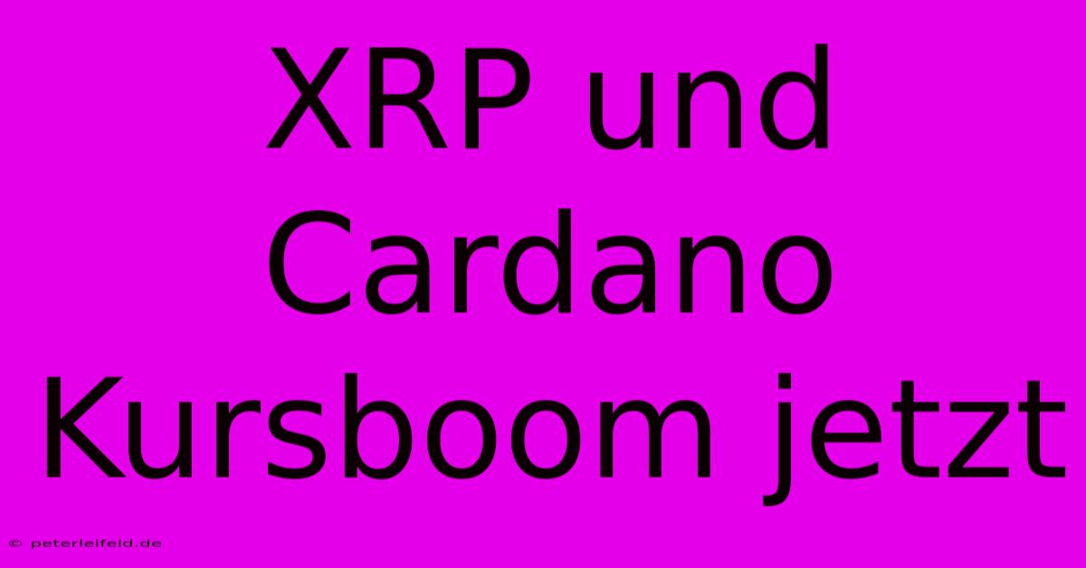 XRP Und Cardano Kursboom Jetzt