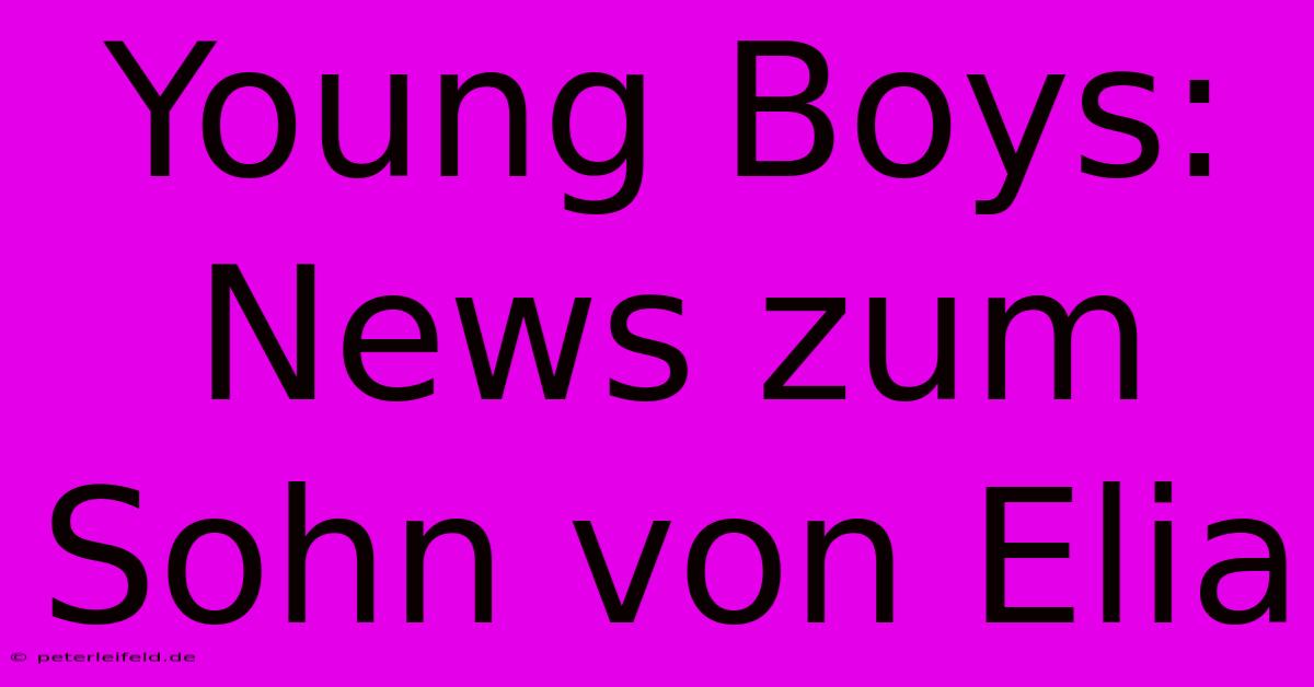 Young Boys: News Zum Sohn Von Elia