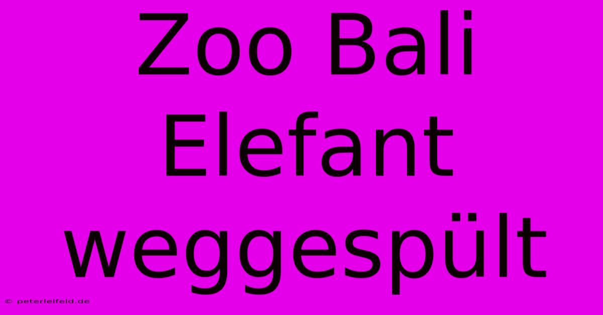 Zoo Bali Elefant Weggespült