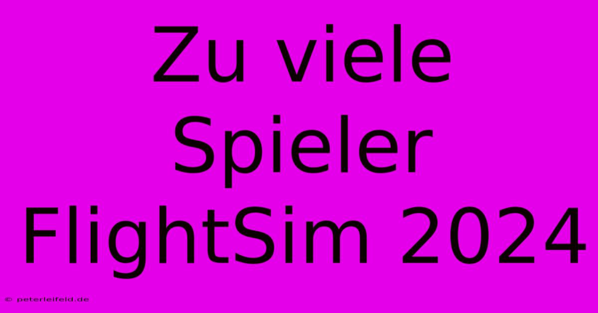 Zu Viele Spieler FlightSim 2024