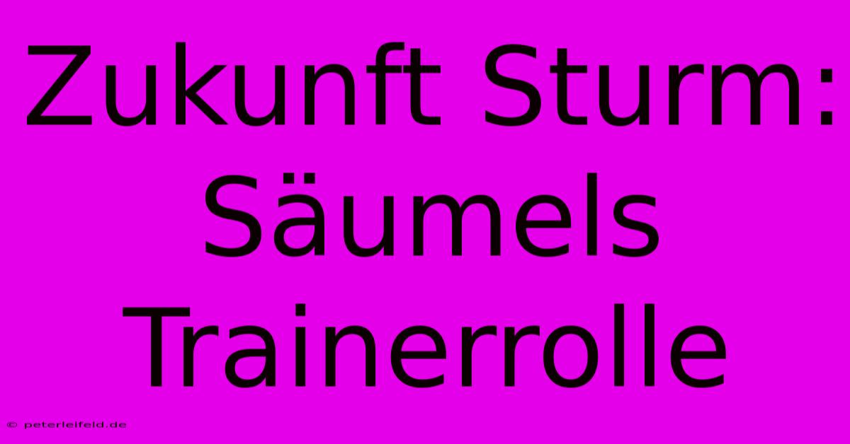 Zukunft Sturm: Säumels Trainerrolle